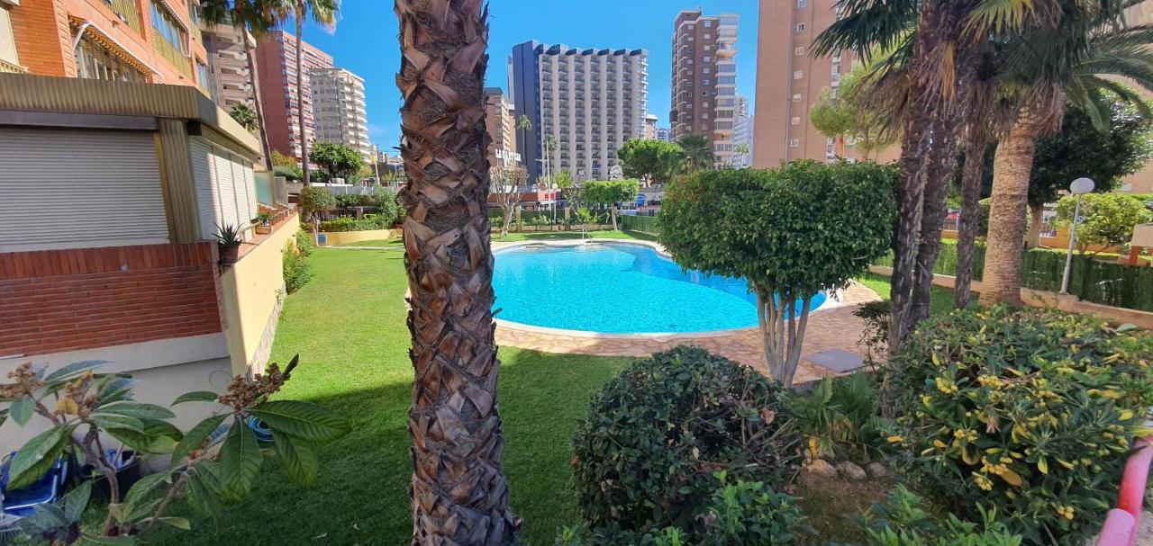 Adelfas - Fincas Arena Benidorm Exterior photo